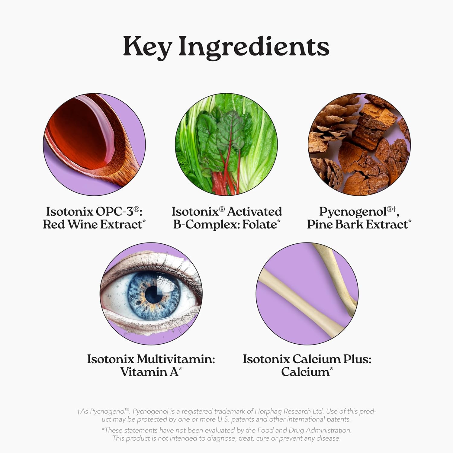 Isotonix® Daily Essentials Multivitamin Powder Packets – 4-in-1 Formula with Multivitamin, Activated B-Complex, Calcium Plus & OPC-3 with Pycnogenol® – Isotonic Delivery –...