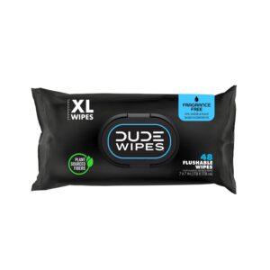 DUDE Wipes - Flushable Wipes Stocking Stuffers - 1 Pack, 48 Count - Unscented - Vitamin-E & Aloe - Septic and Sewer Safe