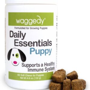 waggedy Daily Essentials Puppy – Full-Spectrum Functional Treats, Small or Large Breed Puppy Supplements – Dog Supplements & Vitamins – Dog Essentials for Puppies (60 Chews)